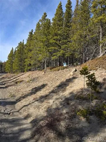 Lot 680 Alice Road Idaho Springs, CO 80453