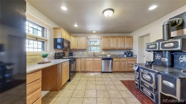 236 Meadowlake Drive Black Hawk, CO 80422