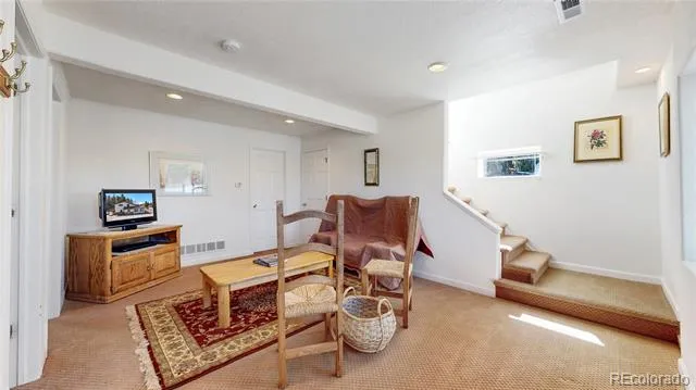236 Meadowlake Drive Black Hawk, CO 80422