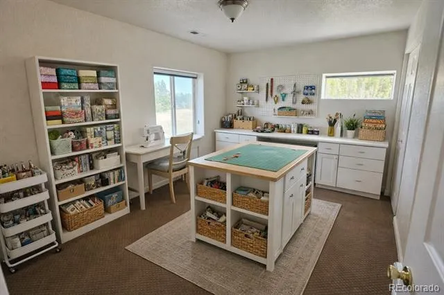 236 Meadowlake Drive Black Hawk, CO 80422