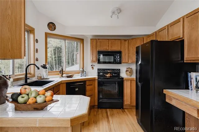 254 Aspenwood Lane Evergreen, CO 80439