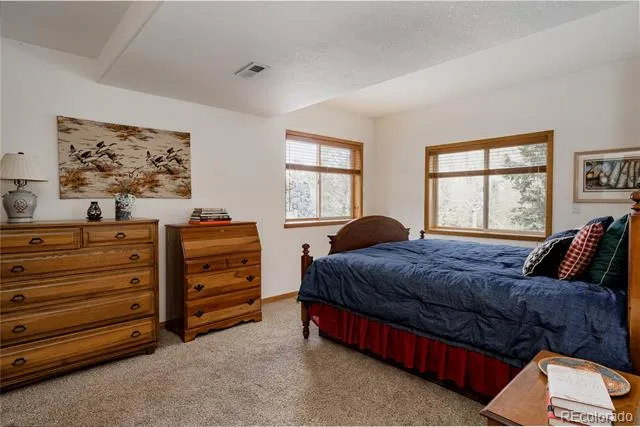 254 Aspenwood Lane Evergreen, CO 80439