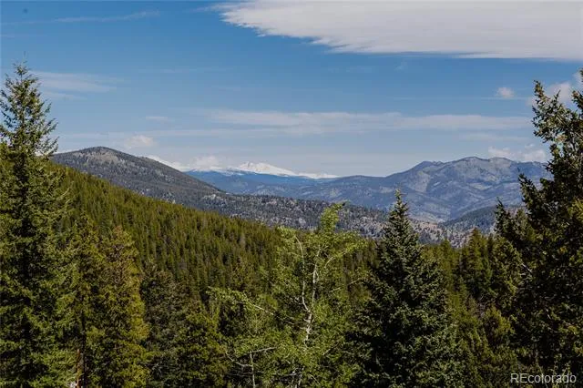 254 Aspenwood Lane Evergreen, CO 80439