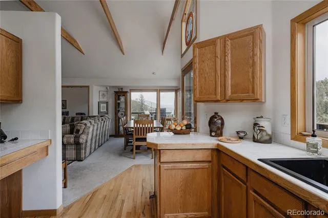254 Aspenwood Lane Evergreen, CO 80439