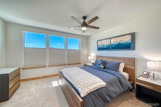 306 McClary Park Leadville, CO 80461