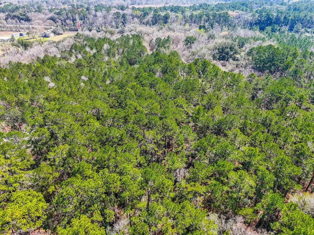 7907 Highway 90 Crosby, TX 77532