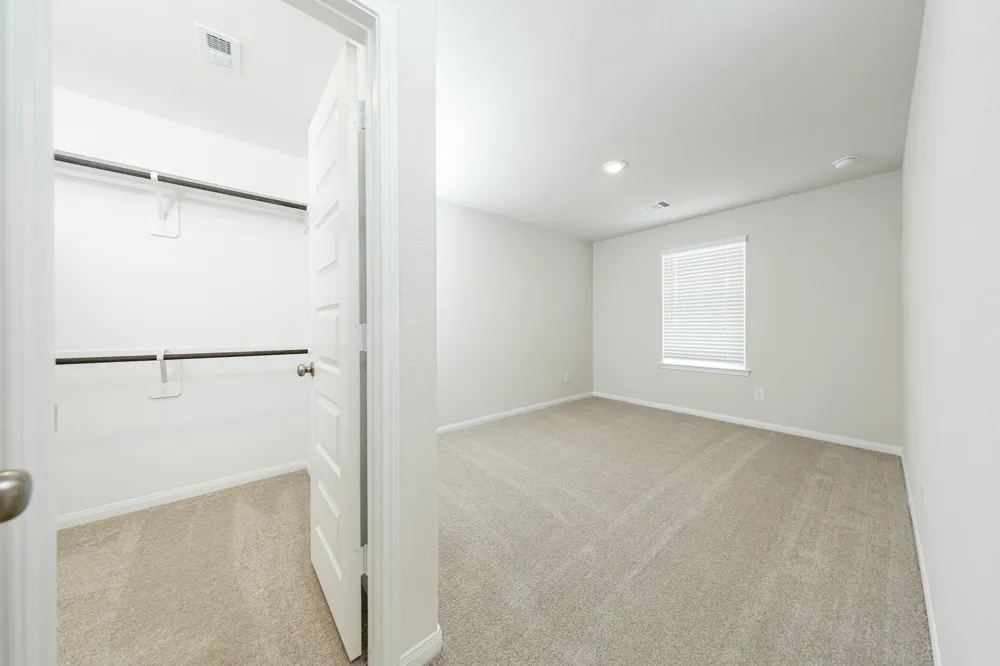 2316 Pipefish Drive Conroe, TX 77384