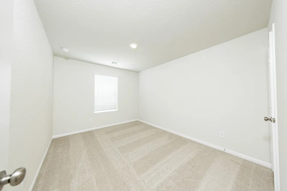 2316 Pipefish Drive Conroe, TX 77384