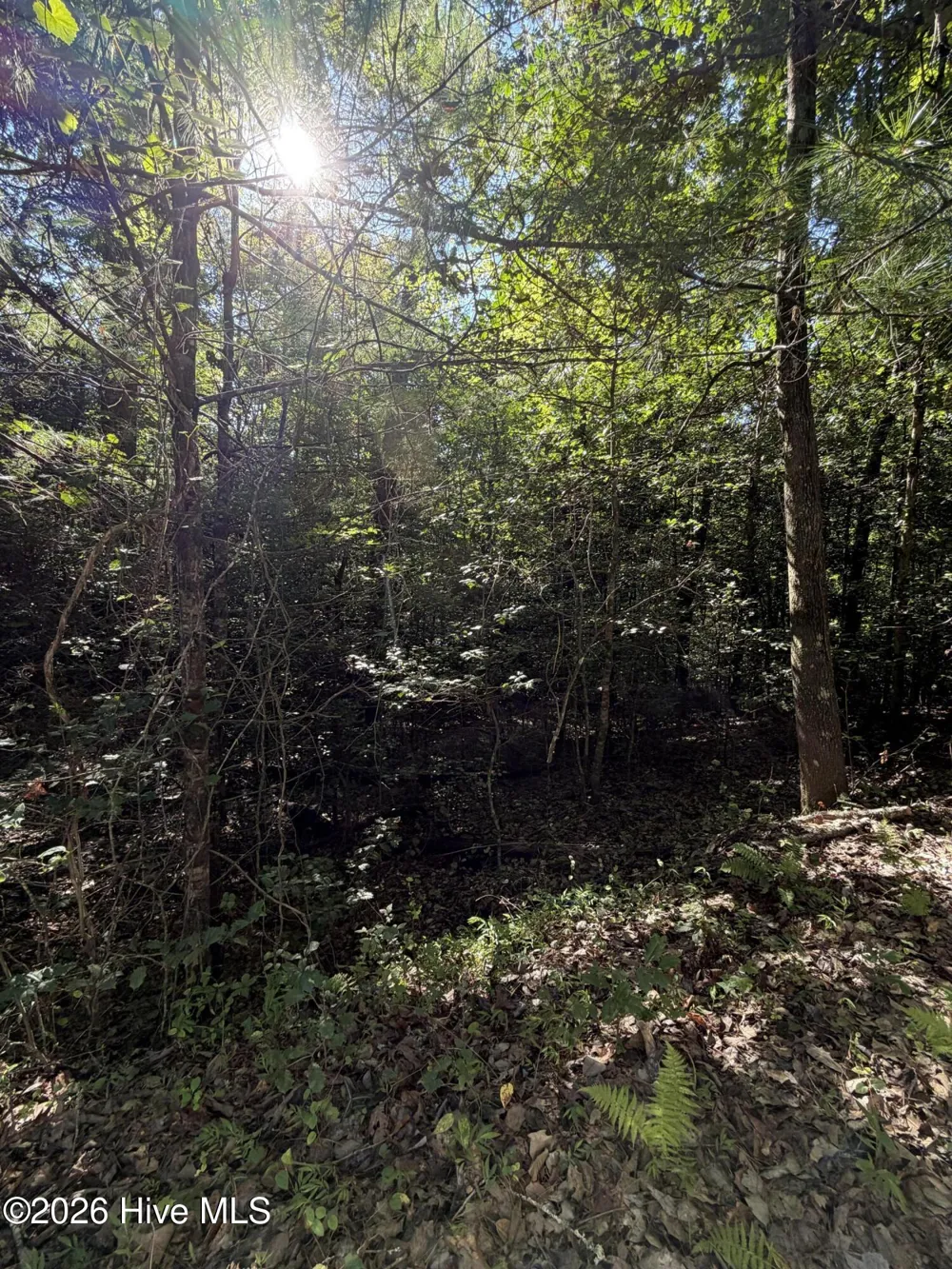 0 Explorer Ridge Murphy, NC 28906