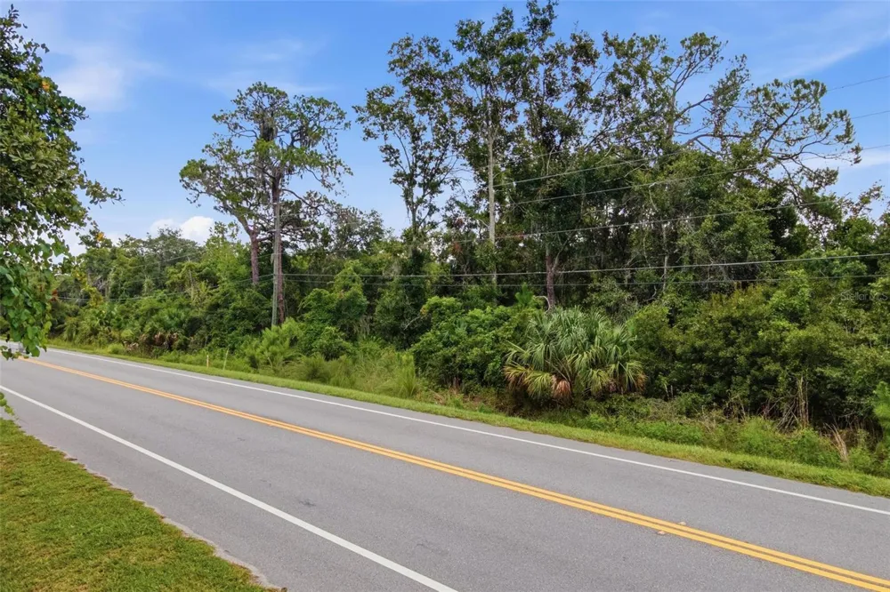 COUNTY ROAD 48 Yalaha, FL 34797