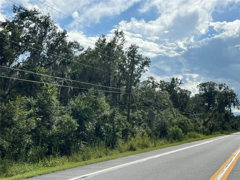 COUNTY ROAD 48 Yalaha, FL 34797