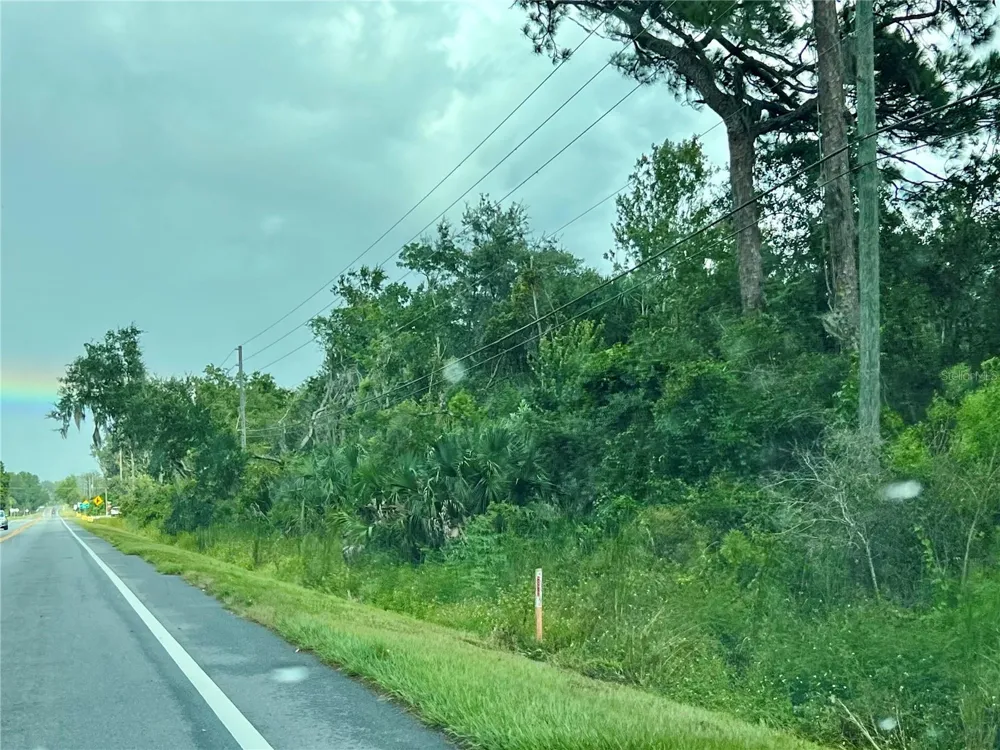 COUNTY ROAD 48 Yalaha, FL 34797