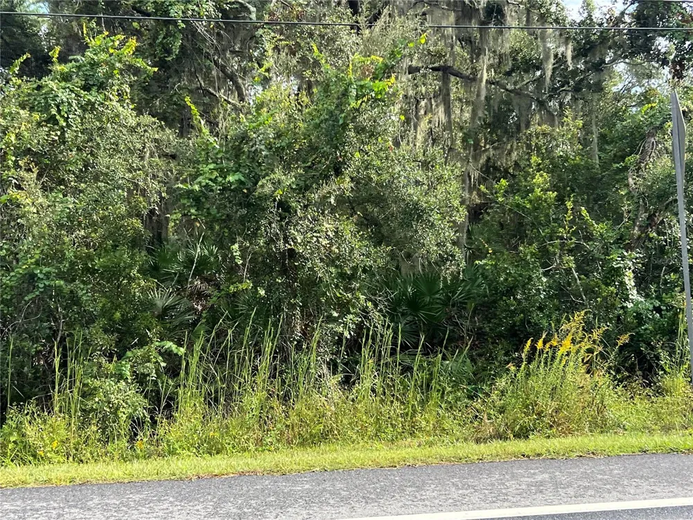 COUNTY ROAD 48 Yalaha, FL 34797
