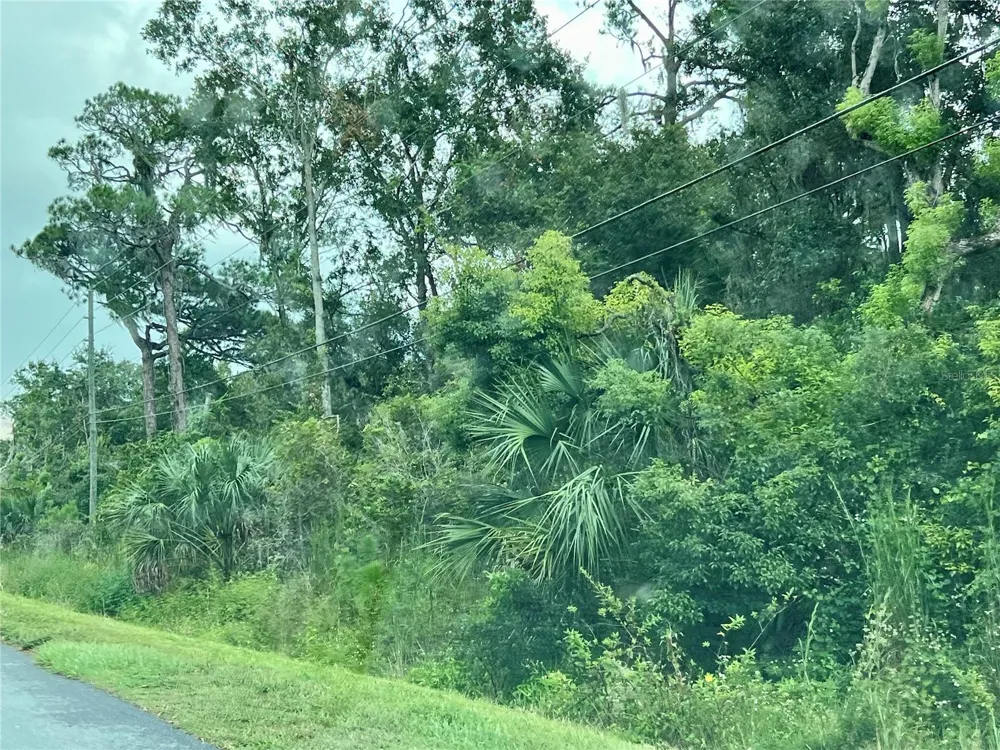COUNTY ROAD 48 Yalaha, FL 34797