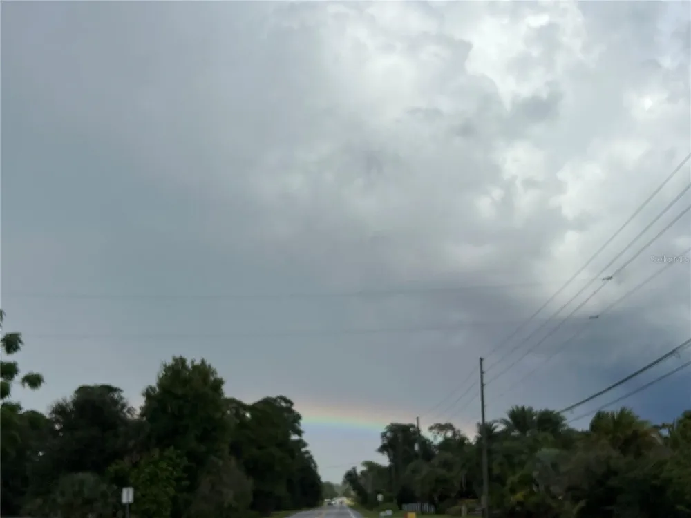 COUNTY ROAD 48 Yalaha, FL 34797