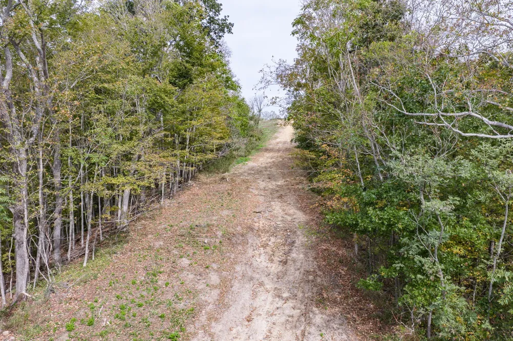 0 Helms Hollow Road Silver Point, TN 38582