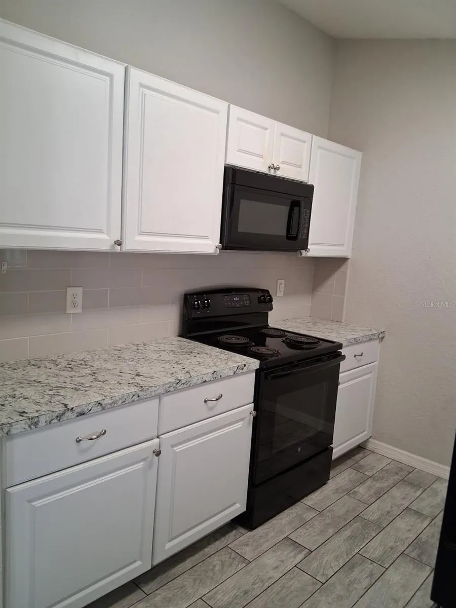 1284 MALONE AVENUE Spring Hill, FL 34606