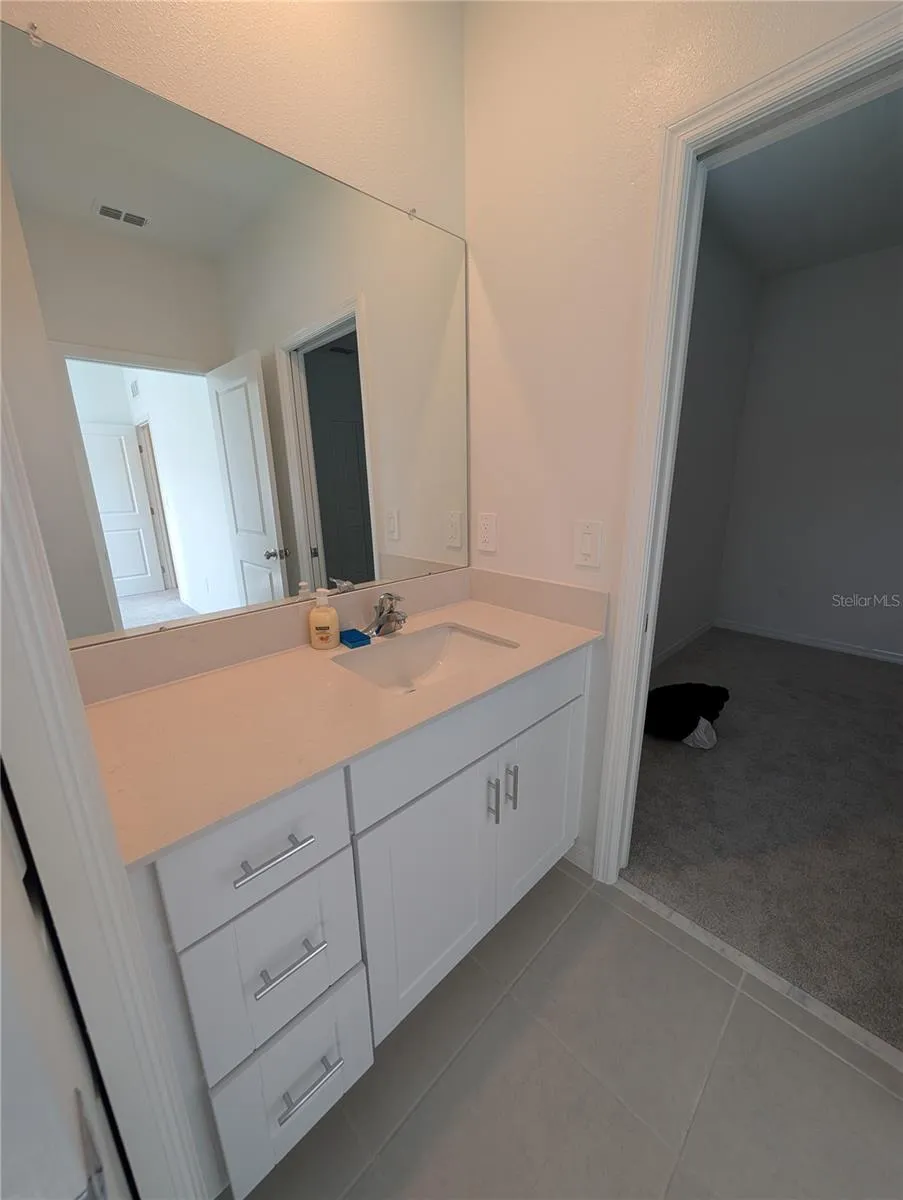 3385 LAPIS LAKE DRIVE Zephyrhills, FL 33541