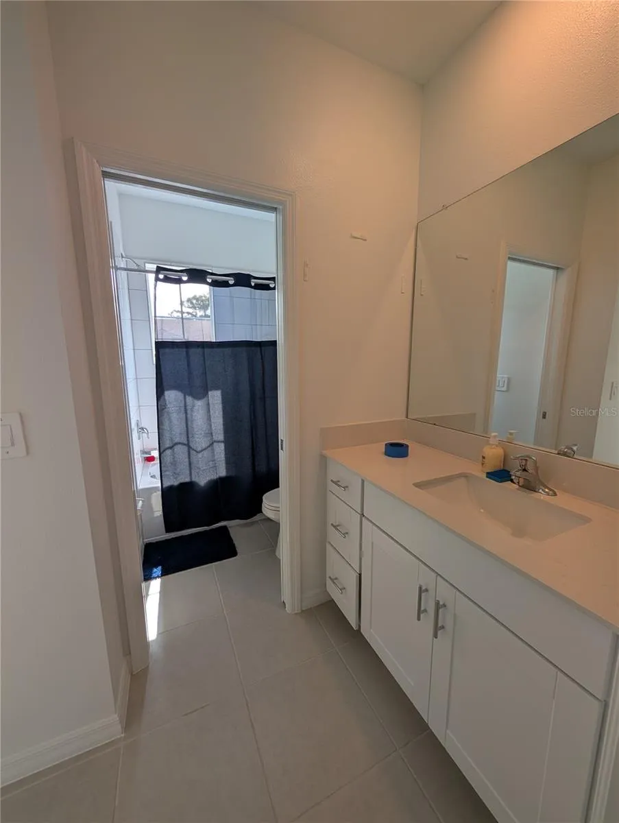 3385 LAPIS LAKE DRIVE Zephyrhills, FL 33541