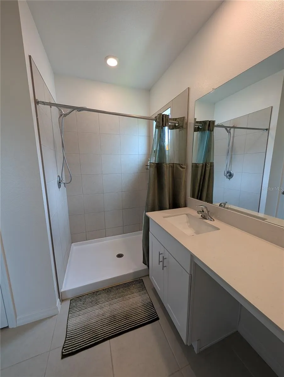 3385 LAPIS LAKE DRIVE Zephyrhills, FL 33541