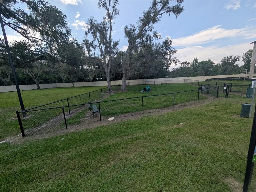 3385 LAPIS LAKE DRIVE Zephyrhills, FL 33541