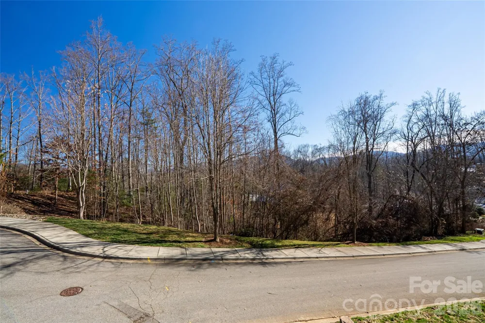 15 La Grange Drive Asheville, NC 28805