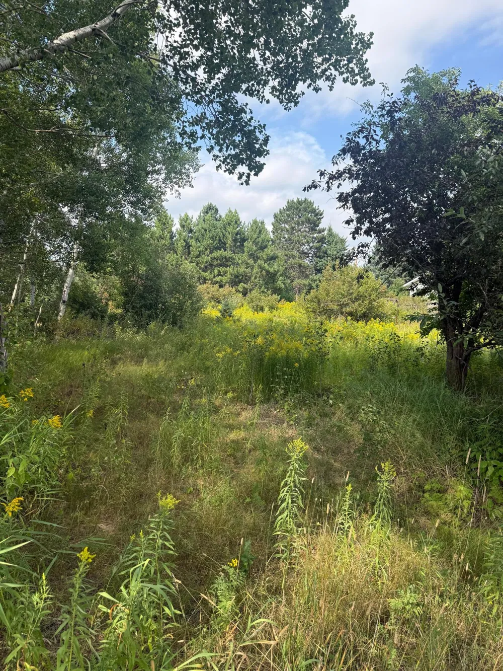 5 Evelyn Street Esko, MN 55733