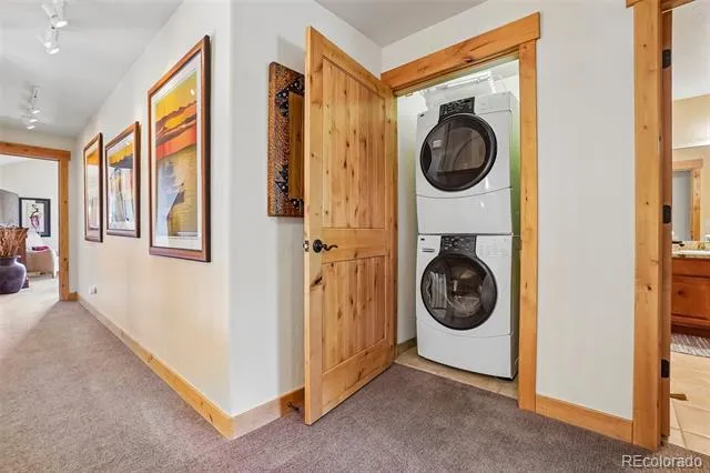 2922 Osprey Lane Silverthorne, CO 80498