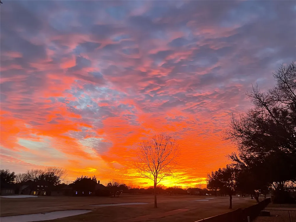 1398 Fairhaven Drive Mansfield, TX 76063