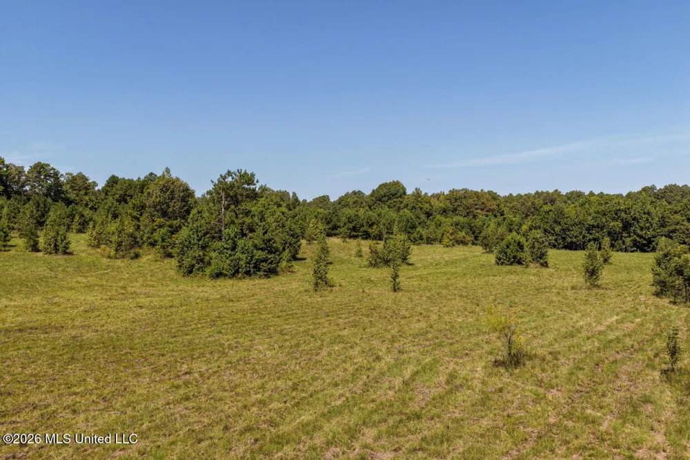 5056 Bethesda Road Crystal Springs, MS 39059