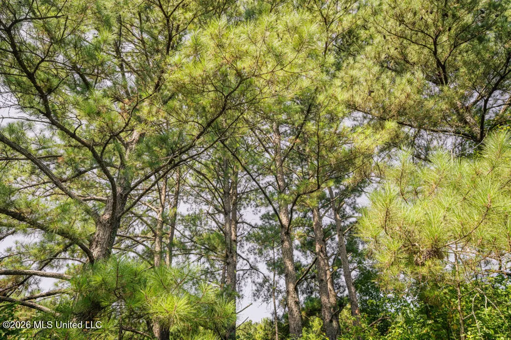 5056 Bethesda Road Crystal Springs, MS 39059