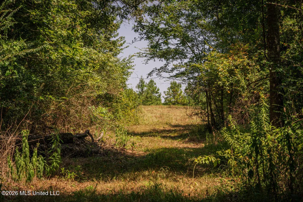 5056 Bethesda Road Crystal Springs, MS 39059