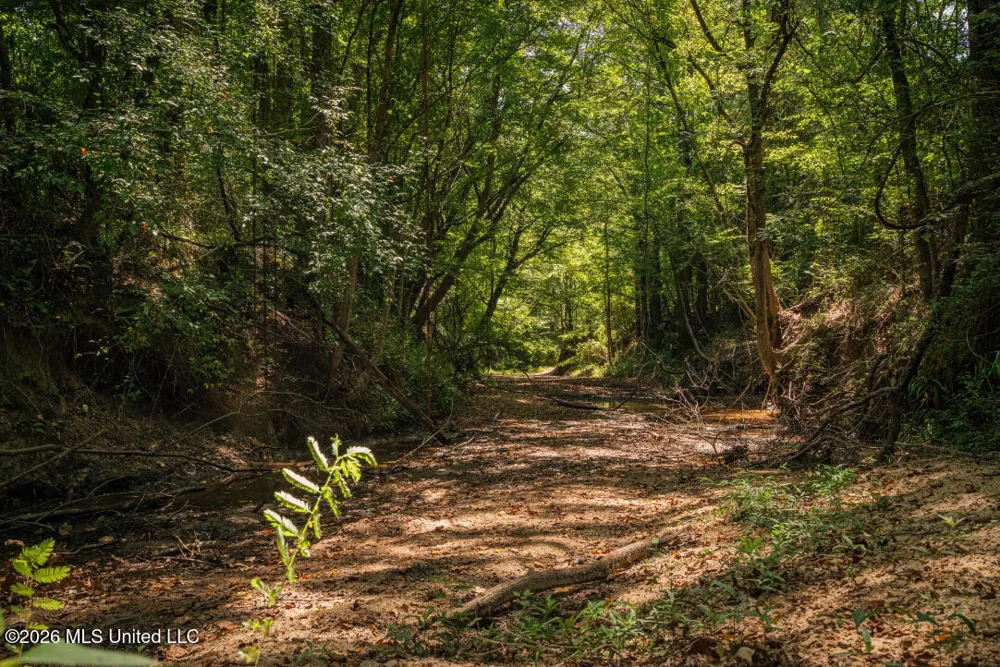 5056 Bethesda Road Crystal Springs, MS 39059