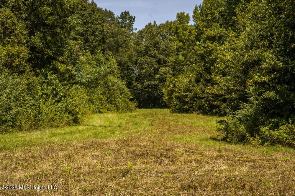 5056 Bethesda Road Crystal Springs, MS 39059