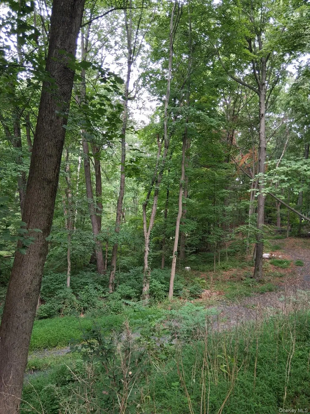 Museum Village Road Monroe, NY 10914