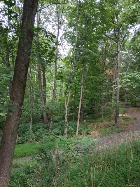Museum Village Road