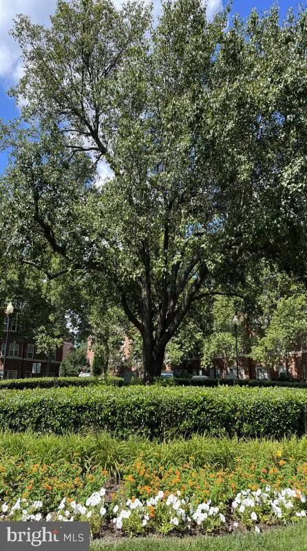 3401 38TH STREET NW #615-410 Washington, DC 20016