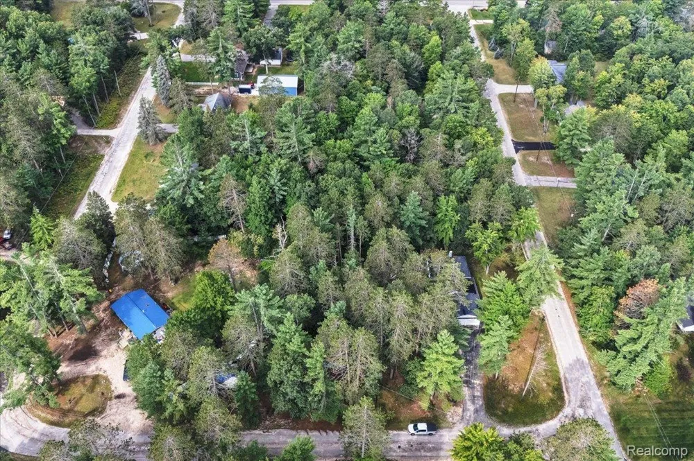 4871 Helen Drive Grayling Charter Township, MI 49738