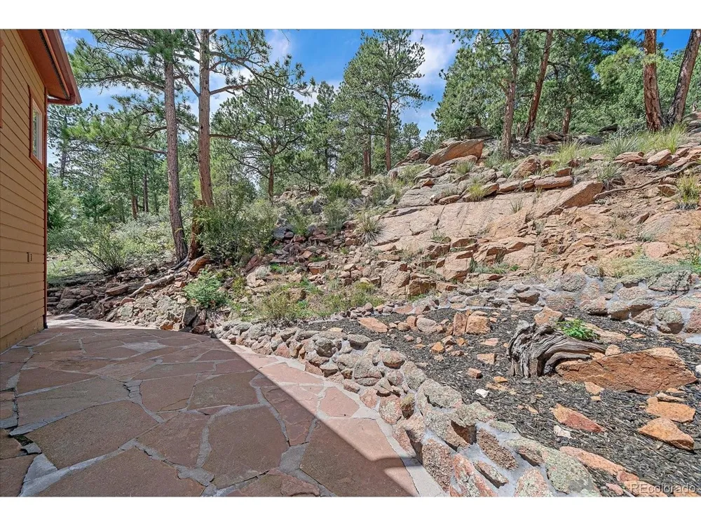 51 Cedar Lane Bailey, CO 80421