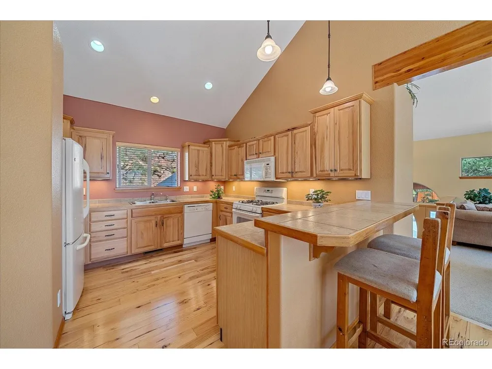 51 Cedar Lane Bailey, CO 80421