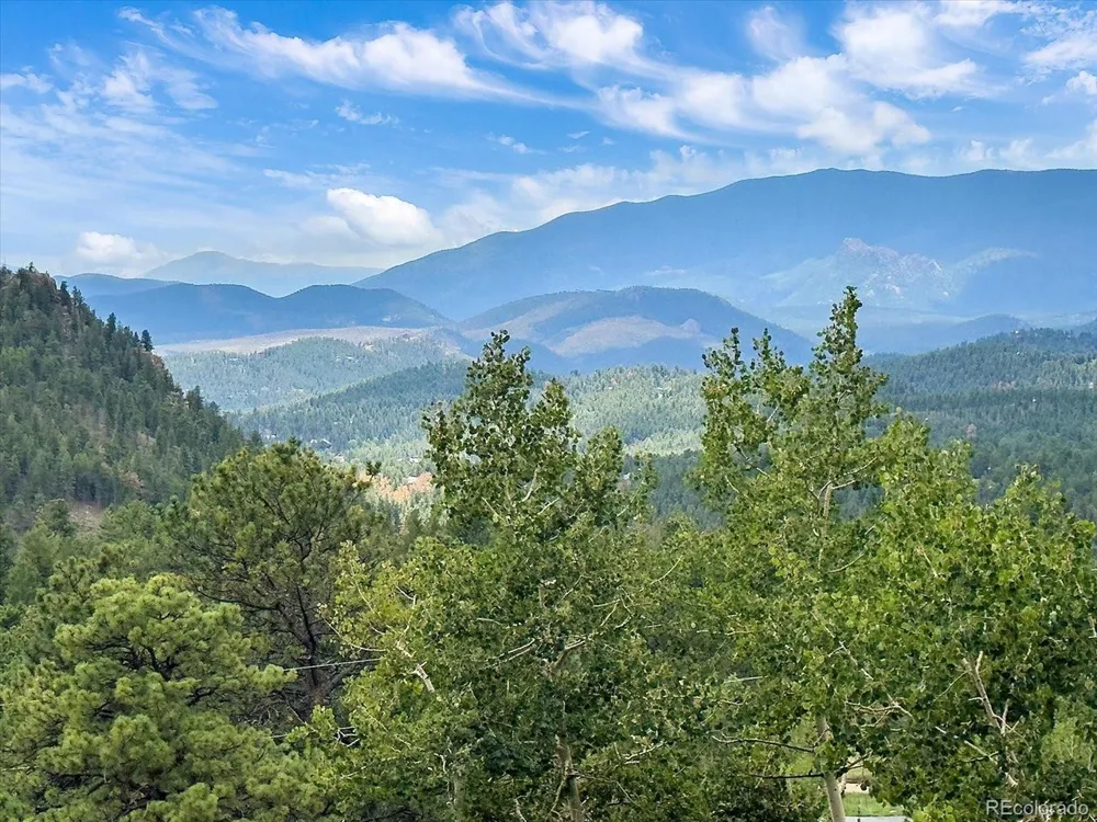 51 Cedar Lane Bailey, CO 80421