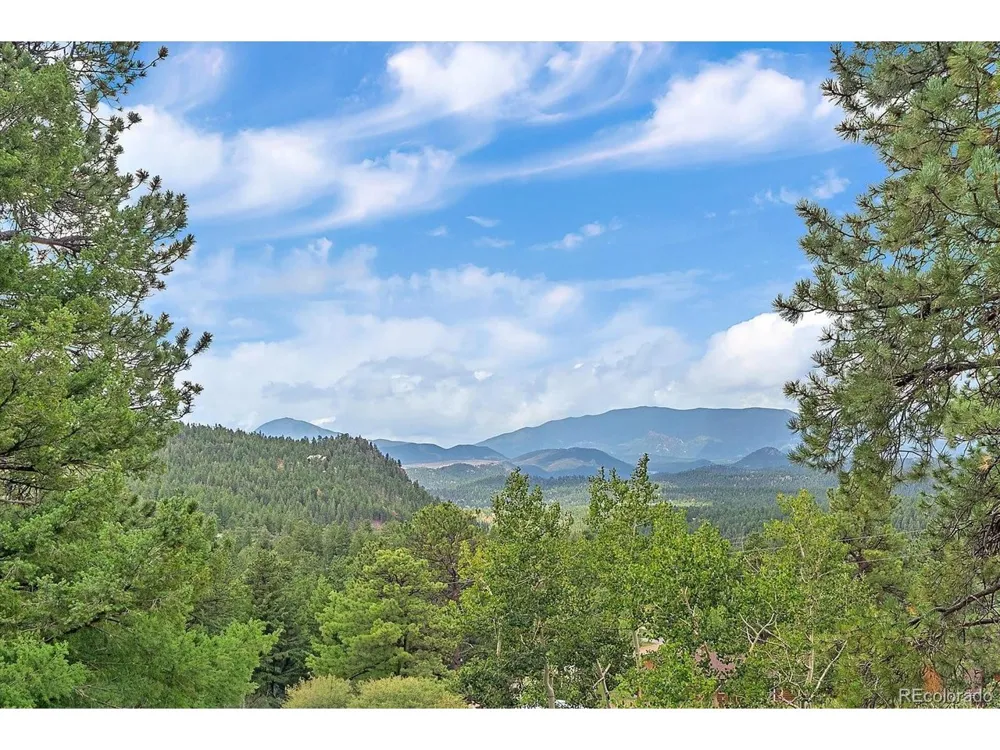 51 Cedar Lane Bailey, CO 80421