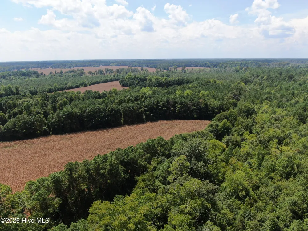 Tbd Pleasant Hope Road Fairmont, NC 28340