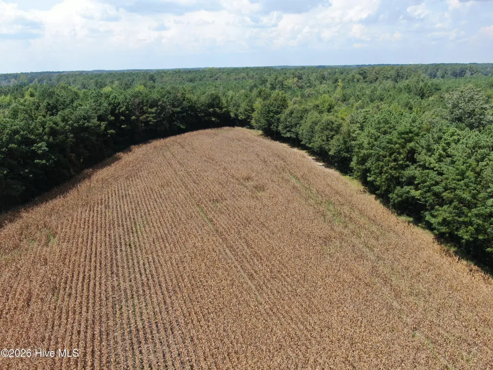 Tbd Pleasant Hope Road Fairmont, NC 28340
