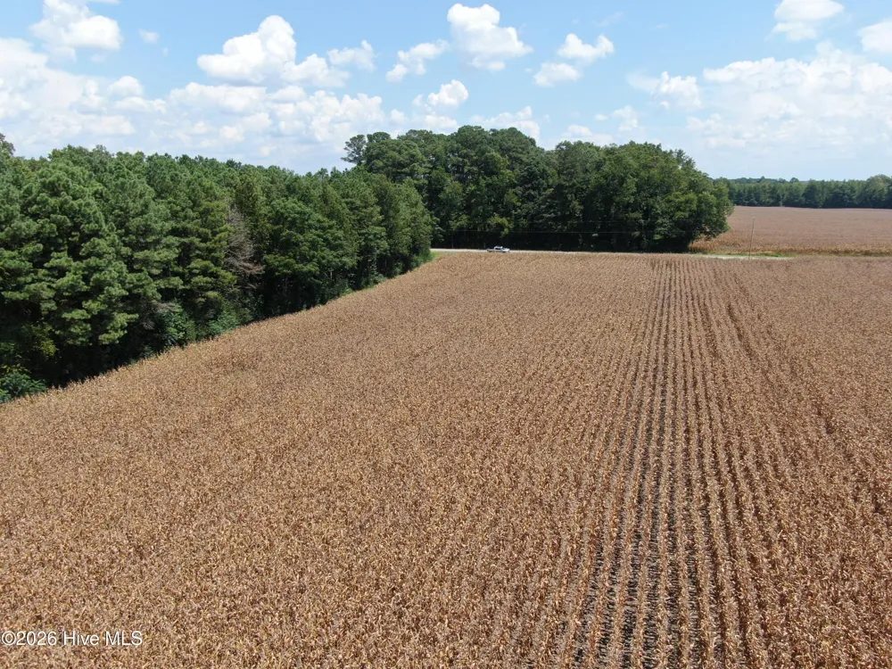 Tbd Pleasant Hope Road Fairmont, NC 28340