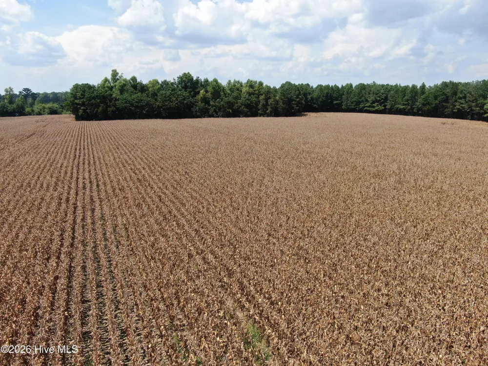 Tbd Pleasant Hope Road Fairmont, NC 28340