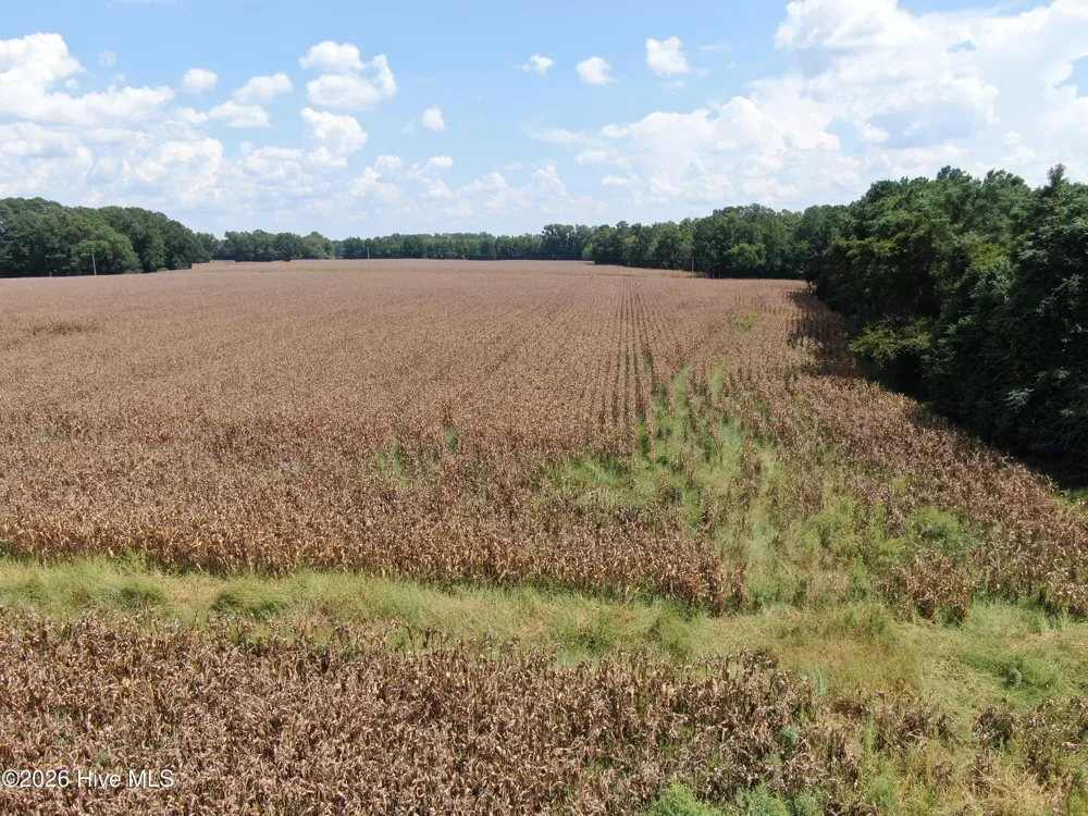 Tbd Pleasant Hope Road Fairmont, NC 28340