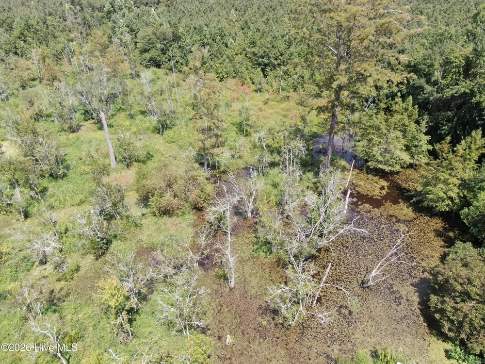 Tbd Pleasant Hope Road Fairmont, NC 28340