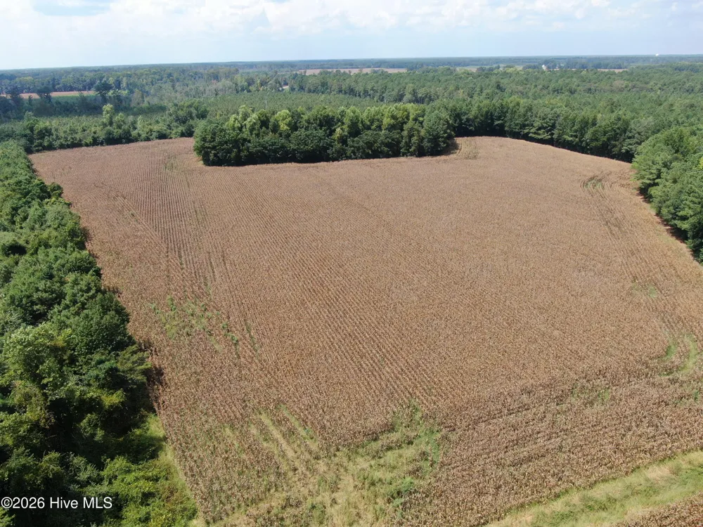 Tbd Pleasant Hope Road Fairmont, NC 28340