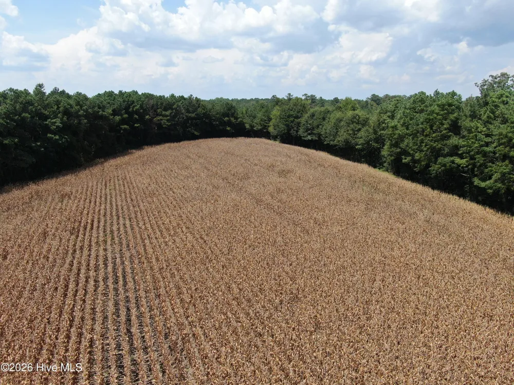 Tbd Pleasant Hope Road Fairmont, NC 28340